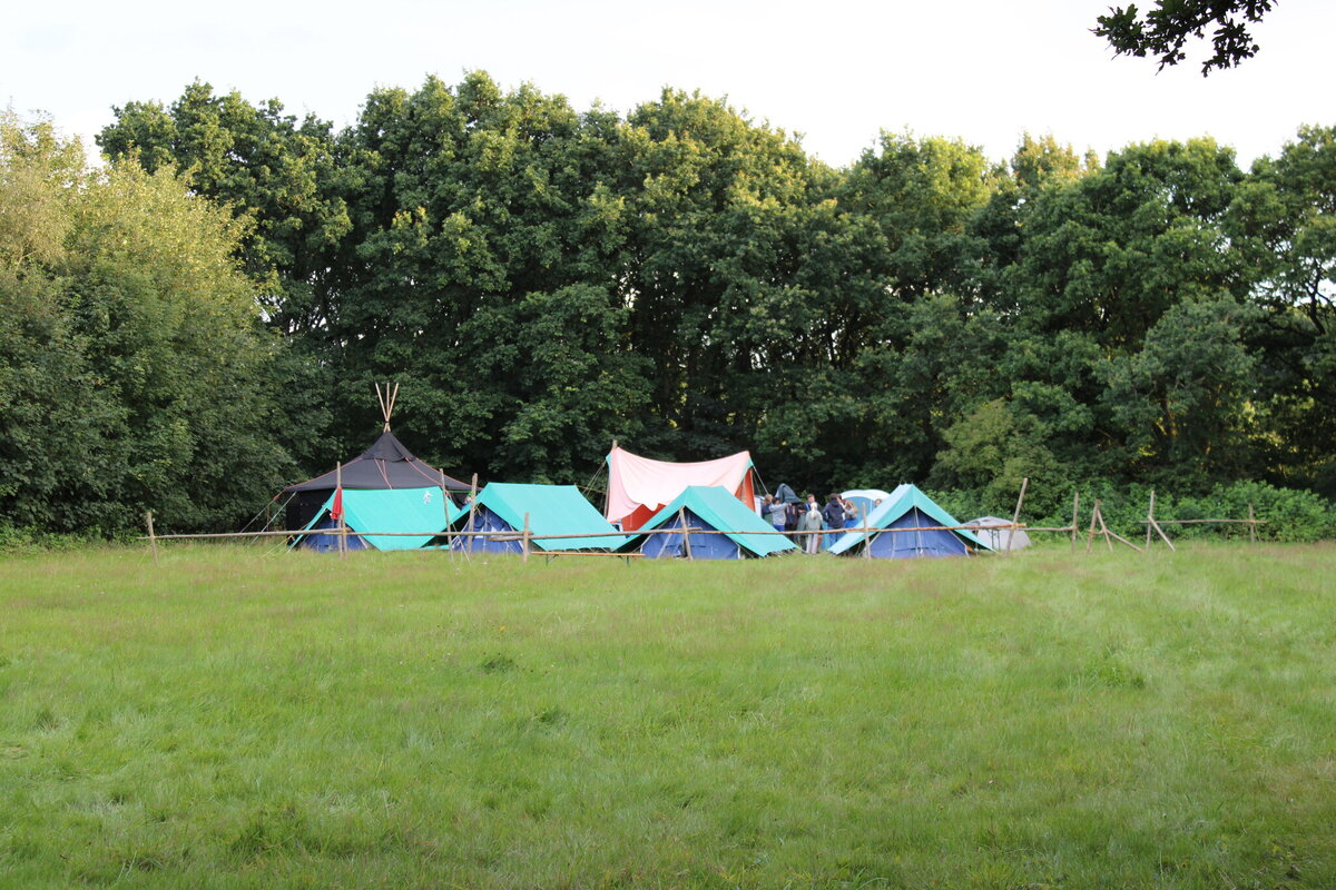 Zeltlager mit mehreren Zelten auf einer grünen Wiese vor dichtem Wald